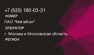 9251800331